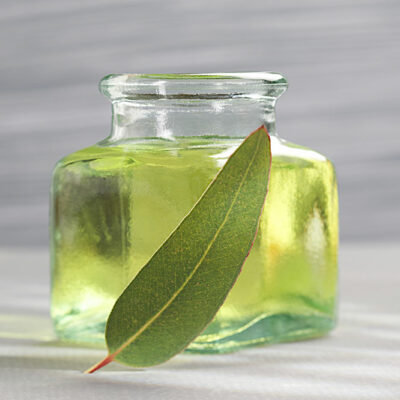 Safe Tips for Essential Oils and Pets