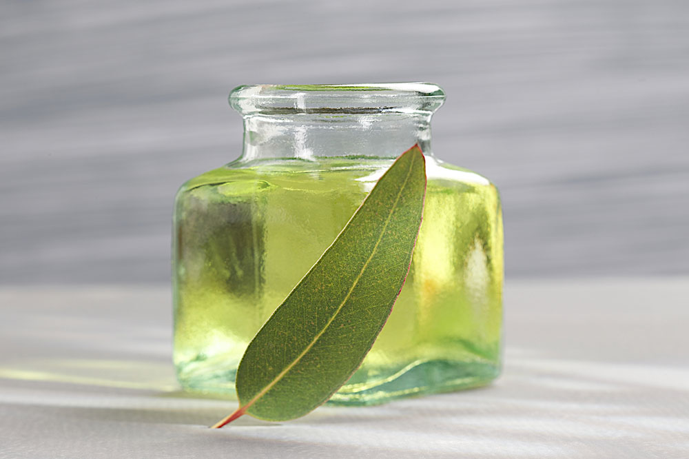 Safe Tips for Essential Oils and Pets