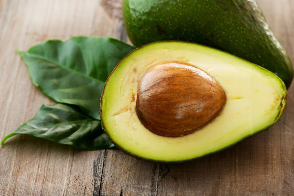 Toxic Human Foods for Dogs